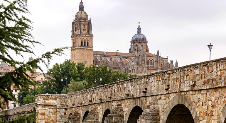 Free Tour Salamanca Monumental, Spain