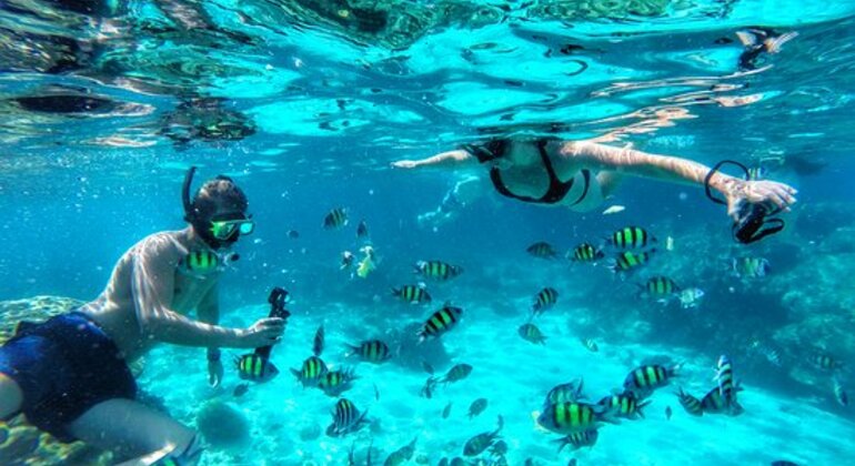 private-from-phuket-full-day-phi-phi-island-snorkeling-tour-phuket