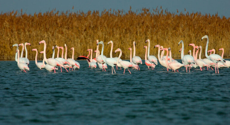 Shirvan National Park Tour Baku