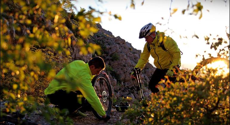 downhill bike ride
