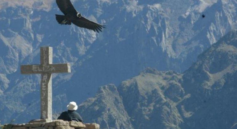Colca Canyon Full Day Tour, Peru