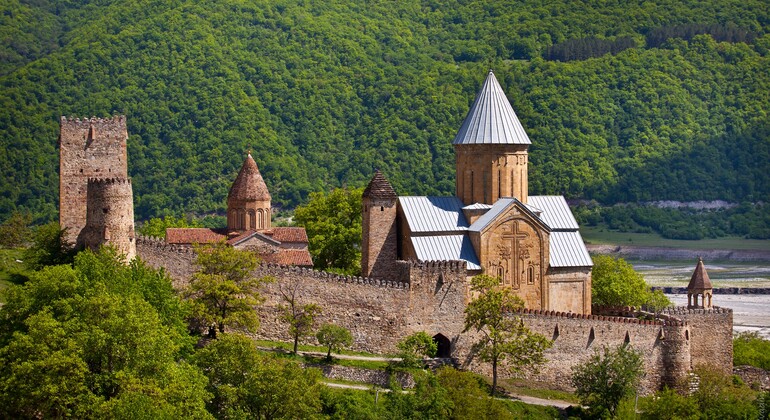Private tour to Be one to one with nature - Tbilisi | FREETOUR.com