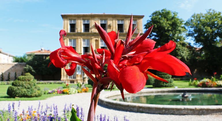 Aix-en-Provence Half-Day Tour - Explore The Secrets & History of Aix, France