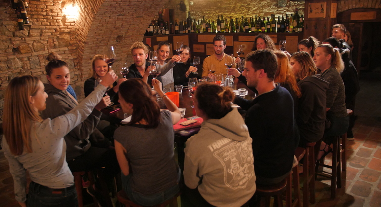 Wine Tasting Ljubljana, Slovenia