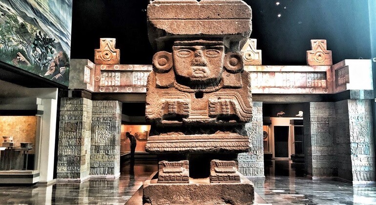 mexico city anthropology museum tour