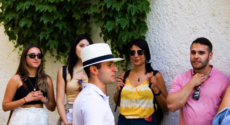 Free Tour Centro Histórico Granada (Grupo Reducido) Operado por Guia Pajarita
