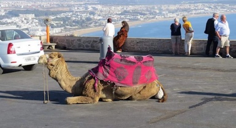 Agadir Bus Tour, Morocco