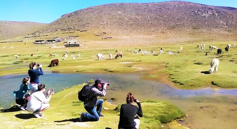 Tour Colca Canyon & Horseriding, Peru