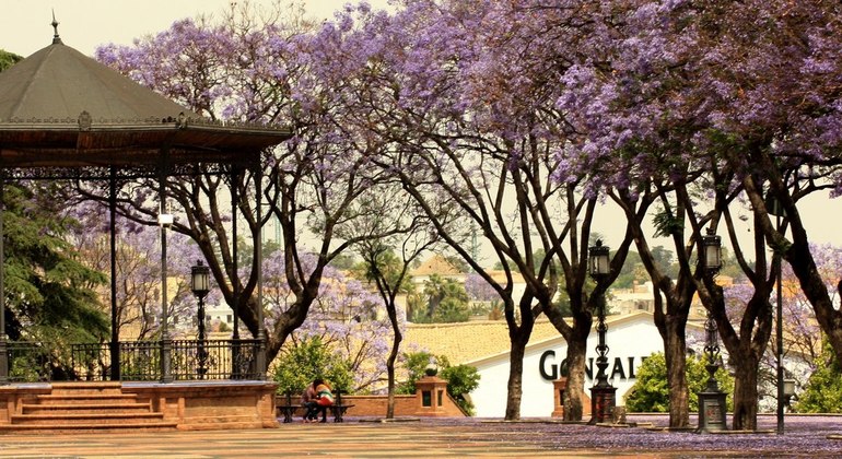 Descubre la Historia de Jerez, Spain