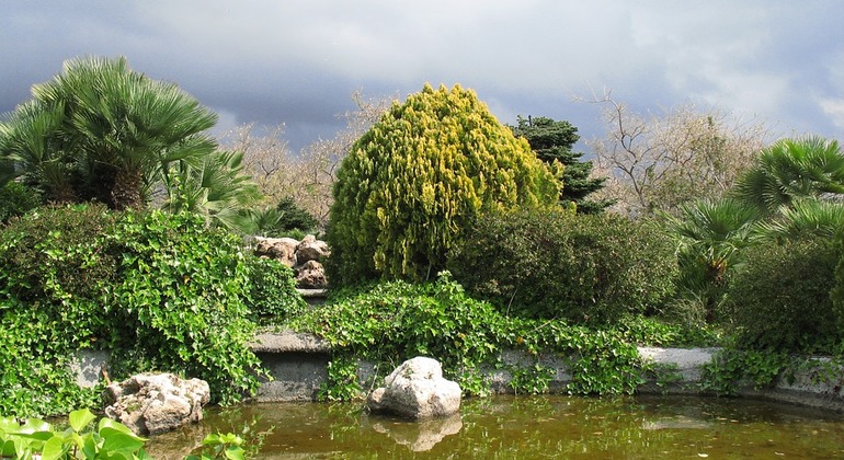 Around Sierra Bermeja, Spain