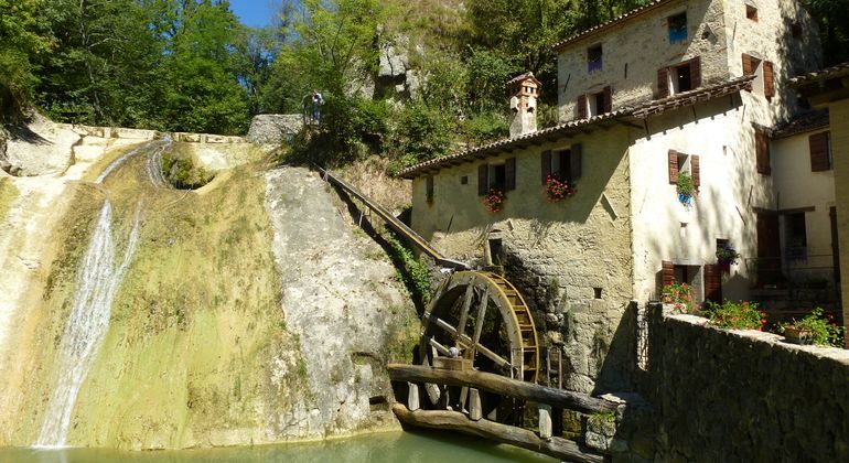 Treviso Movies Tour, Italy