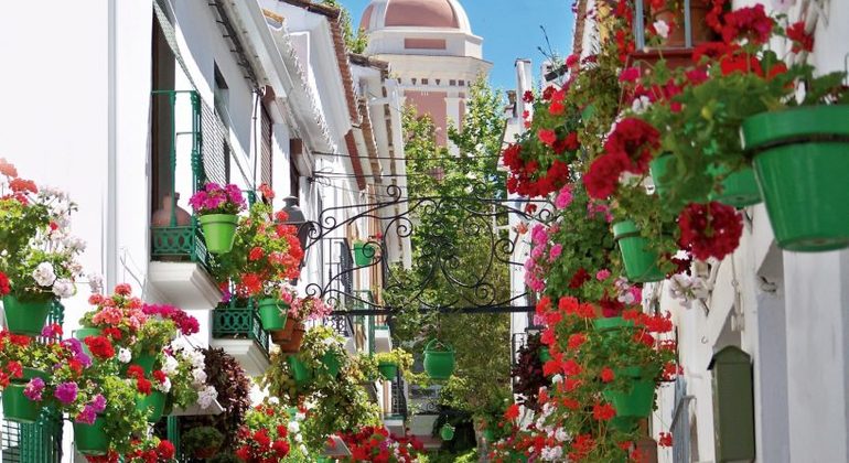 Visit Estepona, the Garden of the Costa del Sol, Spain