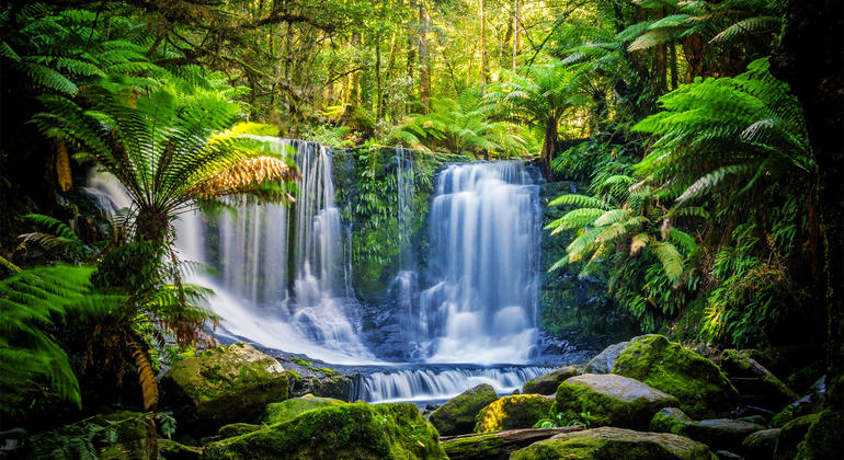 Mt. Field, Mt. Wellington, Bonorong and Richmond Day Tour, Australia
