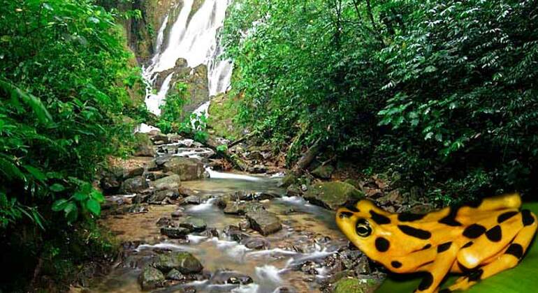 Day Tour: Valley, Termal Waters and Waterfalls, Panama