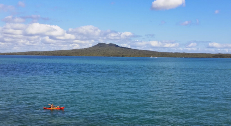 Rangitoto Volcanic Island in Auckland, New Zealand