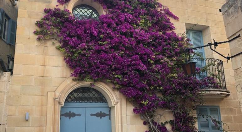 Mdina Walking Tour - Old City, Malta