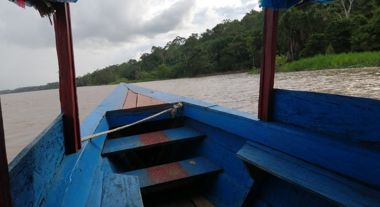 Nature Tour by Typical Boat in Iquitos' Surroundings, Peru